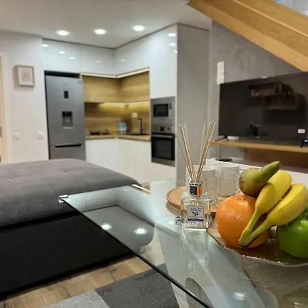 Modern Vitosha Maisonette *