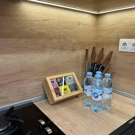 Modern Vitosha Maisonette Apartment Sofia